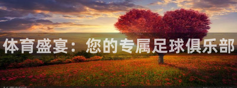 一竞技官方正版app神州:体育盛宴:您的专属足球俱乐部