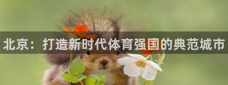 一竞技官网下载平台假的吗是真的吗吗:北京:打造新时代体育强国