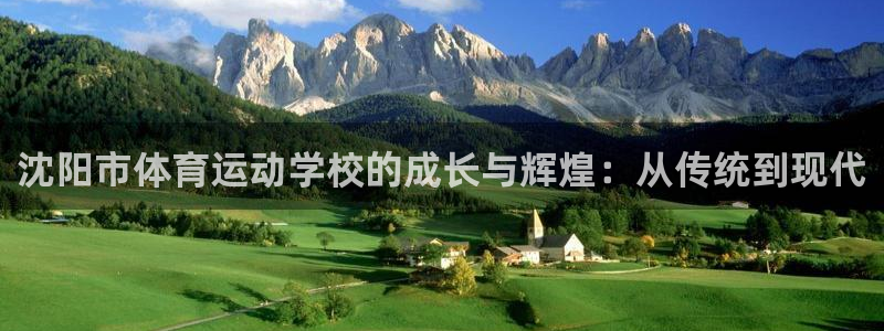 一竞技官网下载平台APP:沈阳市体育运动学校的成长与辉煌:从