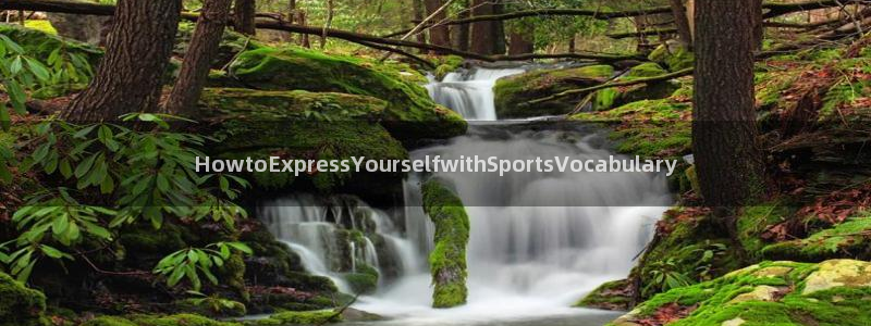 一竞技官方正版app集团官网网址:HowtoExpressY