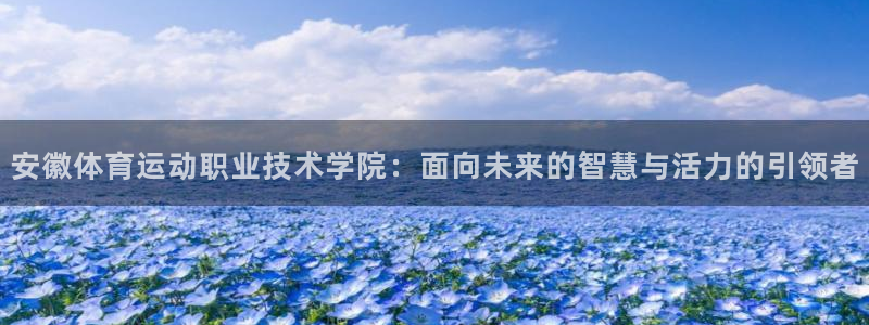 一竞技官网下载平台注册要钱吗:安徽体育运动职业技术学院:面向