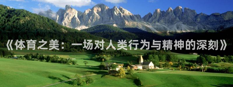 一竞技官网下载平台是正规平台吗安全吗:《体育之美:一场对人类